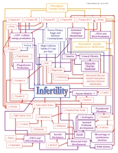 Infertility-diagram-1